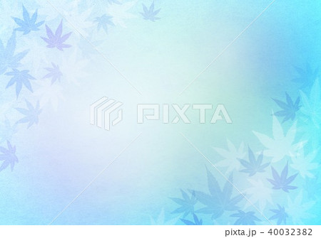 青い紅葉夏の背景 40032382