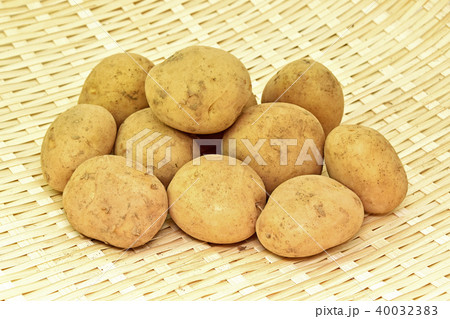赤土新じゃが芋 40032383