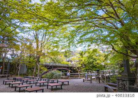 大月市猿橋の新緑風景 40033810