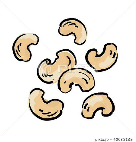 カシューナッツ　イラスト 40035138