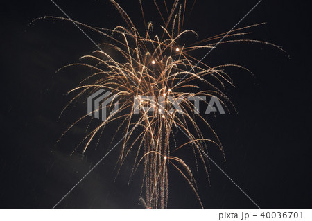 花火 40036701