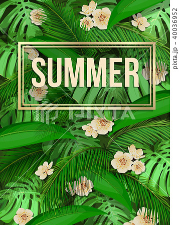 summer tropical leaf pattern background with text 40036952