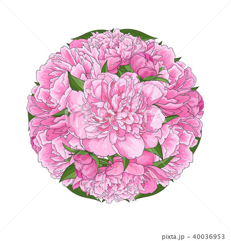 Pink peony bouquet in round shape isolated on white background. Pink peony bouquet in round shape isolated on white background. 40036953