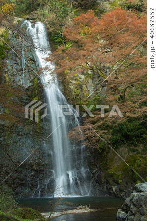 秋・箕面大滝 秋・箕面大滝 40037557