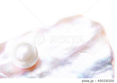 貝片と貝パール 貝片と貝パール 40038300