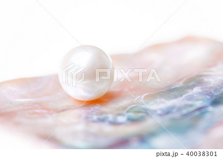 貝片と貝パール 40038301