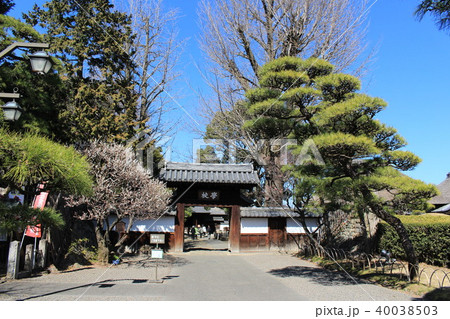 下野国足利学校(学校門) 下野国足利学校(学校門) 40038503