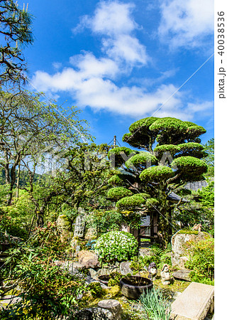 谷性寺 京都 亀岡 谷性寺 京都 亀岡 40038536