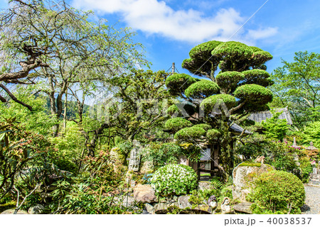 谷性寺 京都 亀岡 谷性寺 京都 亀岡 40038537