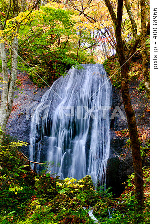 秋の達沢不動滝(福島県・猪苗代町) 秋の達沢不動滝(福島県・猪苗代町) 40038966