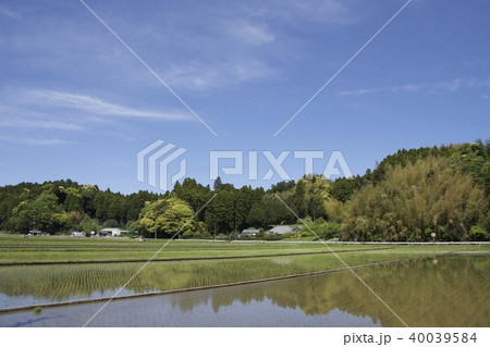 千葉県茂原市 4月 千葉県茂原市 4月 40039584