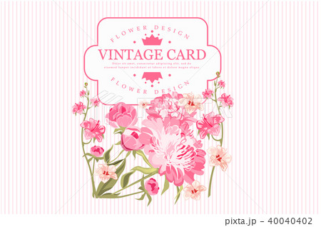 Vintage greeting card with pink flowers and place for text. Vecroe design for advertising flyer 40040402