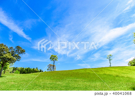 新緑の公園　青空 40041068