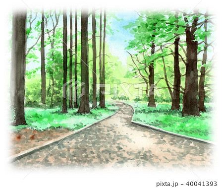 水彩で描いた新宿御苑の森のイラスト素材