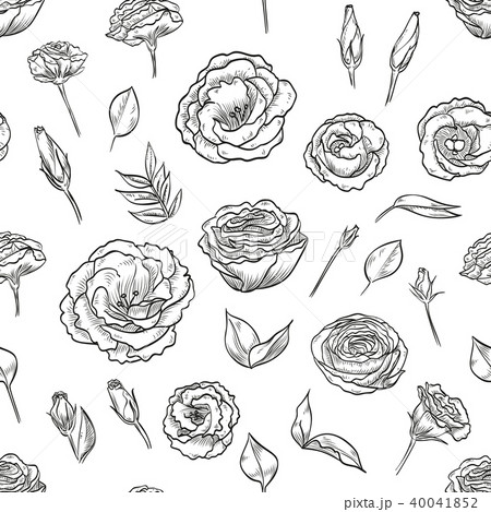 Vector Hand Drawn Lisianthus Seamless Patternのイラスト素材