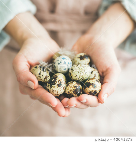 Natural colored eggs and feather in woman's hands, square crop 40041878