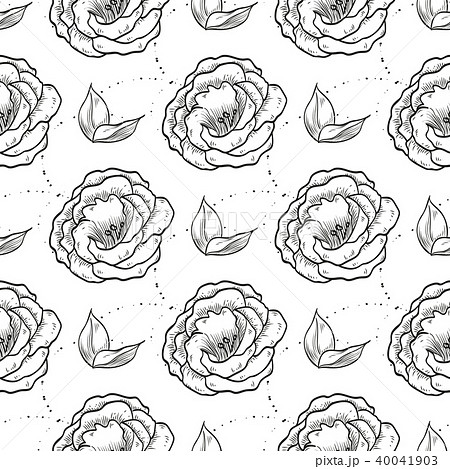 Vector lisianthus flowers and leaves 40041903