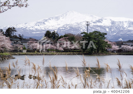 春の鳥海山 秋田県 春の鳥海山 秋田県 40042206