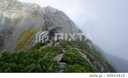 南岳新道、西尾根の稜線を進む 南岳新道、西尾根の稜線を進む 40043810