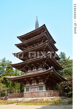 醍醐寺の春 醍醐寺の春 40044643