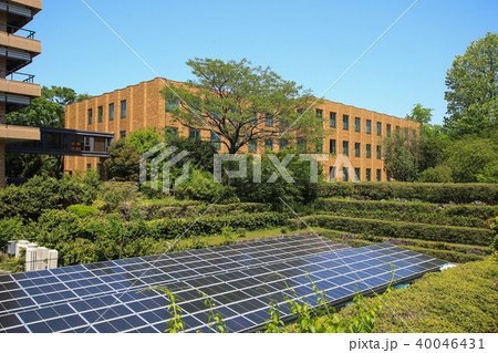 熊本県庁 40046431