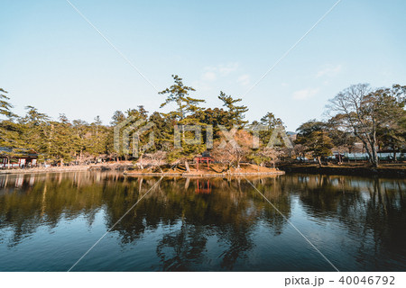 Todaiji Temple, deer, kyoto Todaiji Temple, deer, kyoto 40046792