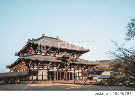 Todaiji Temple, deer, kyoto Todaiji Temple, deer, kyoto 40046794
