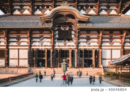 Todaiji Temple, deer, kyoto Todaiji Temple, deer, kyoto 40046804