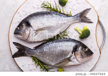Raw sea bream fish 40047684