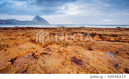 coral and the sand on the beach 40048314