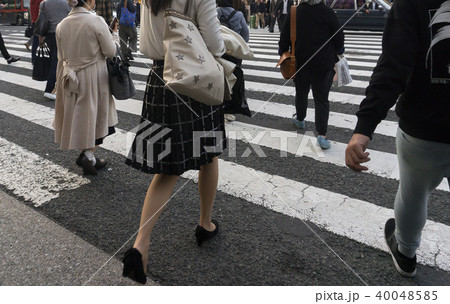 横断歩道  40048585