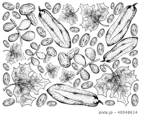 Background of Dates and Babaco Papaya Fruits Background of Dates and Babaco Papaya Fruits 40048614