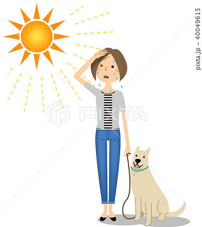 若い女性　日差し　犬の散歩 40049615