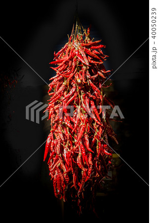 Bundles of red  peppers dry in the sun 40050239