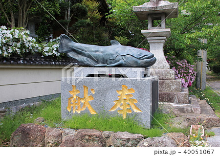 大森宮(なまず神社)のなまず像(福岡県) 大森宮(なまず神社)のなまず像(福岡県) 40051067