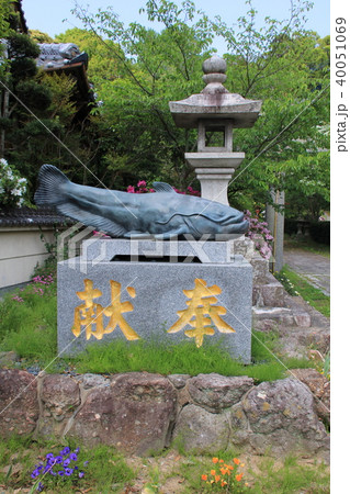 大森宮(なまず神社)のなまず像(福岡県) 大森宮(なまず神社)のなまず像(福岡県) 40051069