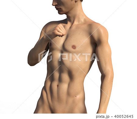 男性 解剖 筋肉 ３dcg イラスト素材のイラスト素材