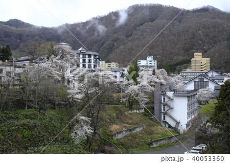 桜が満開の芦ノ牧温泉街 桜が満開の芦ノ牧温泉街 40053360