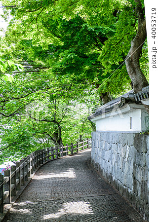 福知山城　イメージ 40053719