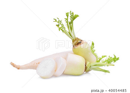 fresh daikon radish with slice isolated fresh daikon radish with slice isolated 40054485