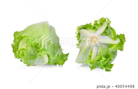 green iceberg lettuce isolated on white background green iceberg lettuce isolated on white background 40054498