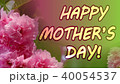 Happy Mothers Day card 40054537