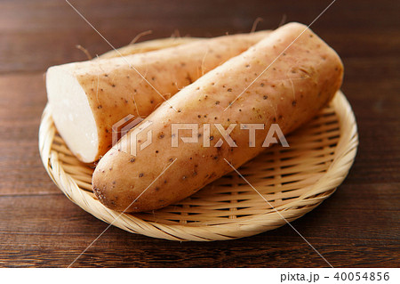 長芋 40054856