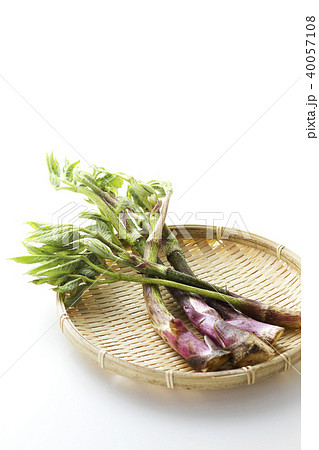 うど16 うど16 40057108