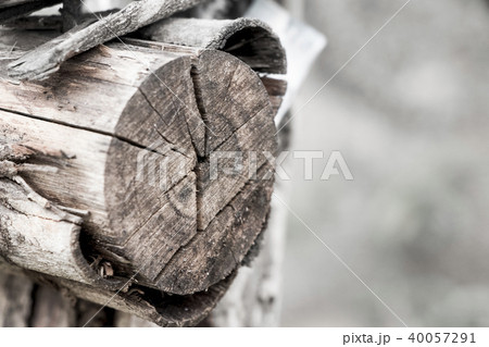 Wooden logs of pine woods 40057291