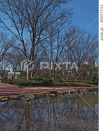 冬枯れの公園のイラスト素材