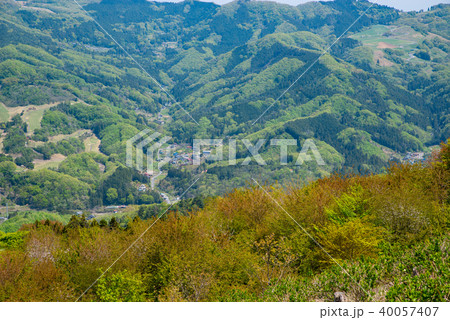 美の山 新緑の斜面から見下ろす沢沿いの集落と山肌　b  40057407