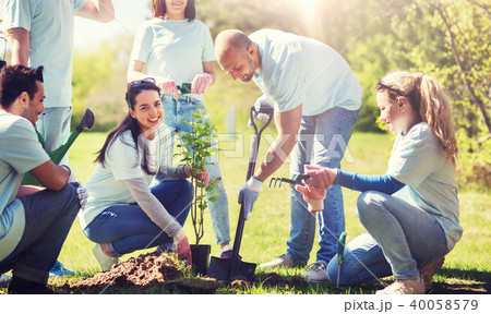group of volunteers planting tree in park 40058579