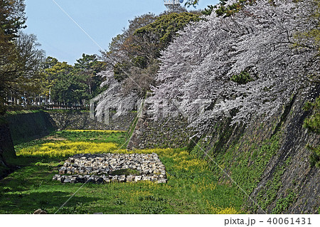 名古屋城 外堀のイラスト素材