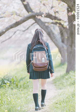 high school student 40061524